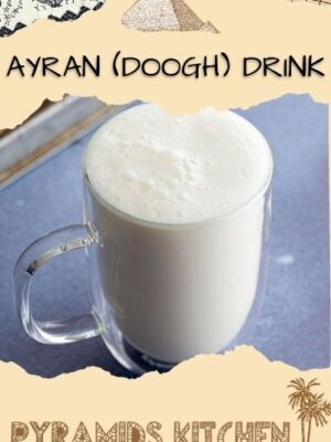 Ayran / Doogh Drink